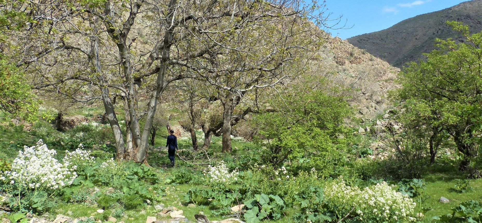 Réserve naturelle de Nurata, Ouzbékistan