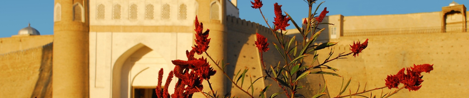 Fort de Boukhara, Ouzbékistan