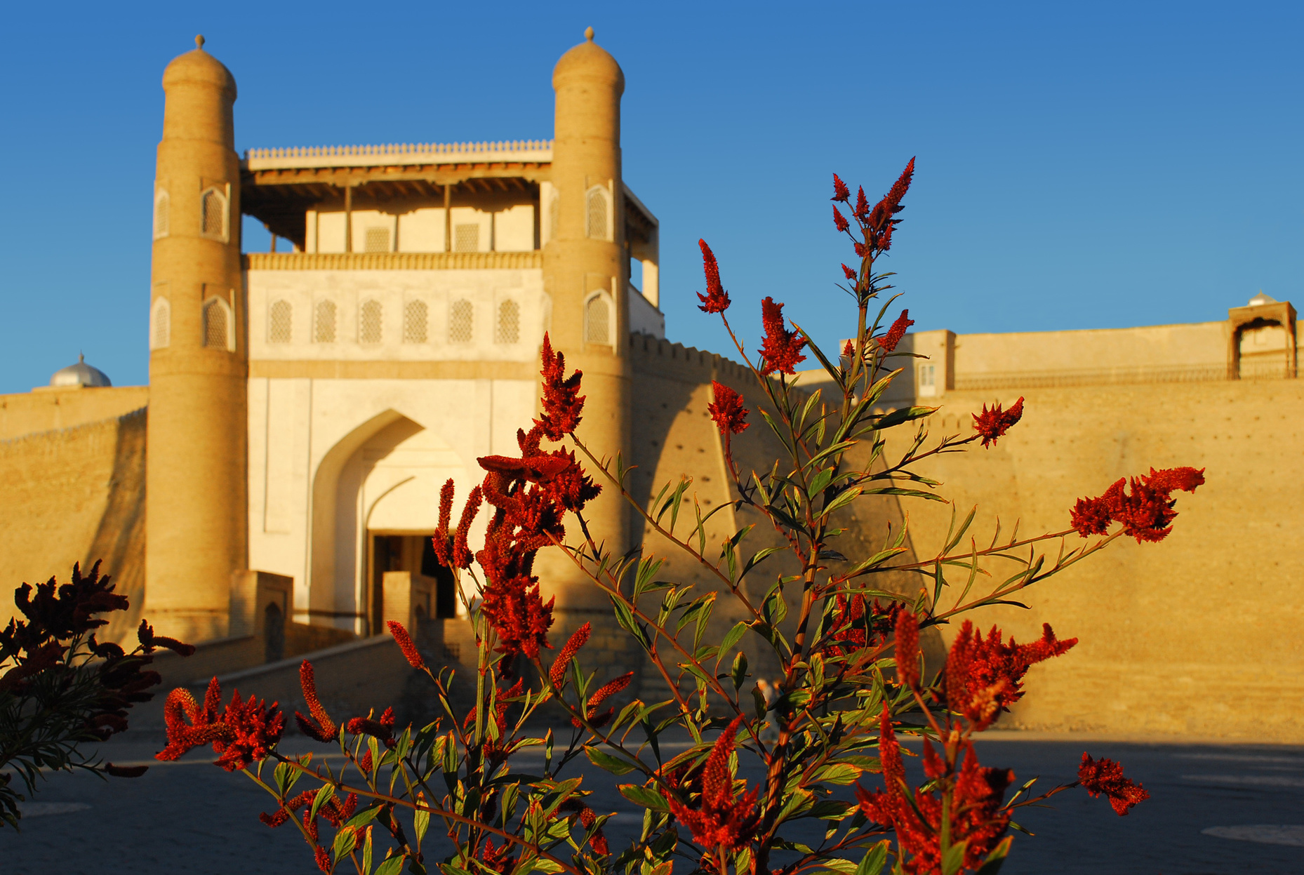 Fort de Boukhara, Ouzbékistan