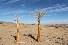 Paysages désertiques