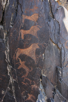 Pétroglyphes de Sarmysh